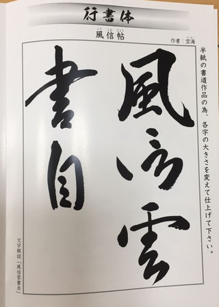 Adult Gyosho practice model