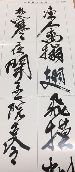 Adult Hansetsu practice model