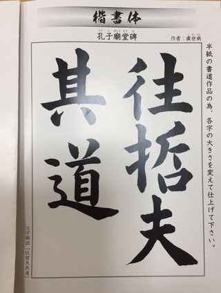 Adult Kaisho practice model