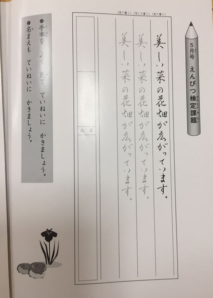 Penmanship practice model