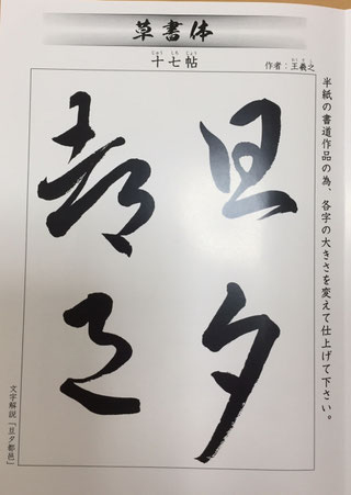 Adult Sosho practice model